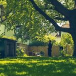 Nachbarschaftliche Initiativen: Chancen für Immobilieneigentümer